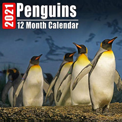 [READ] EPUB 💞 Calendar 2021 Penguins: Cute Penguin Photos Monthly Mini Calendar With