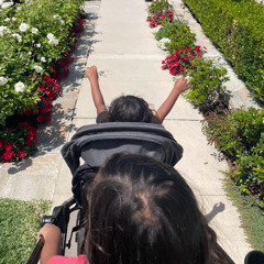 #flowers(2020sesh)