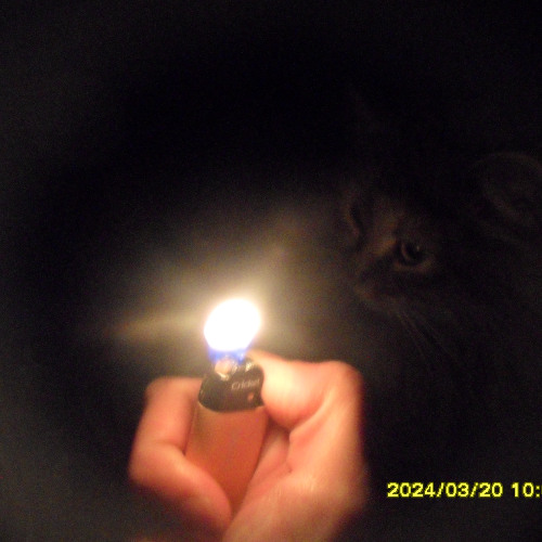 твой парень