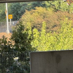 Fall