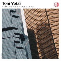 DIM238 - Toni Yotzi