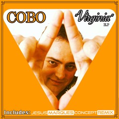 Virginia (Jesus Marques Concept REMIX)