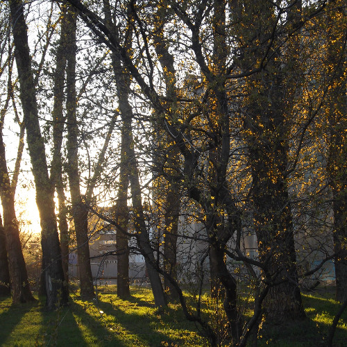 глупая шутка - все хорошо