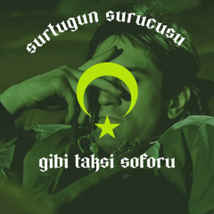 surucusurtuk demo
