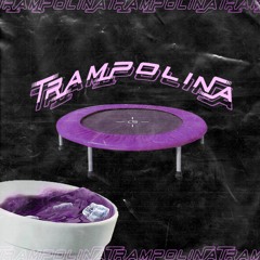TRAMPOLINA (feat. Wierzbicki) (prod. Tim)