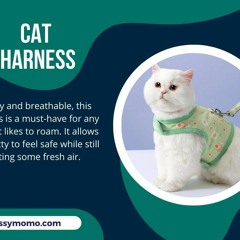 Cat Harness