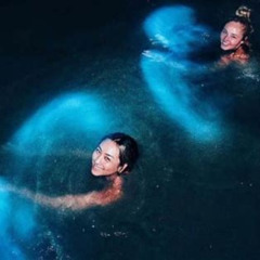 Best Parguera Bioluminescent Bay Tour Tours Review