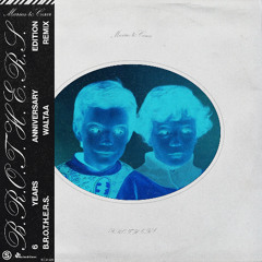 Marius & Cesar - B.R.O.T.H.E.R.S. (Waltaa Remix)
