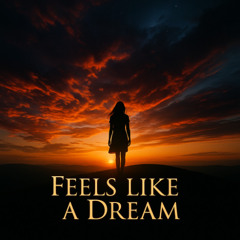 Feels Like A Dream