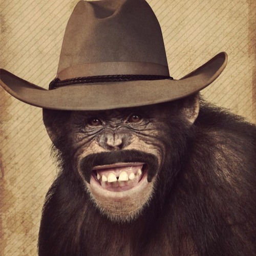 Stream Roblox The Wild West Auction House Theme 1 by ぴえ Listen online for free on SoundCloud