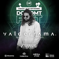@DMT Mushroom Experience, Sunset Set