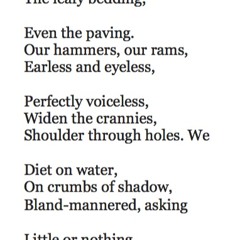 495 Mushrooms by Sylvia Plath, read by Jane Slavin