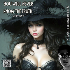 You Will Never Know The Truth (Original Mix)