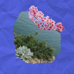 hesa / listen on spotify :)