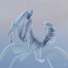 Blinders - Prayer [Ultra Miami 2023 LIVE]