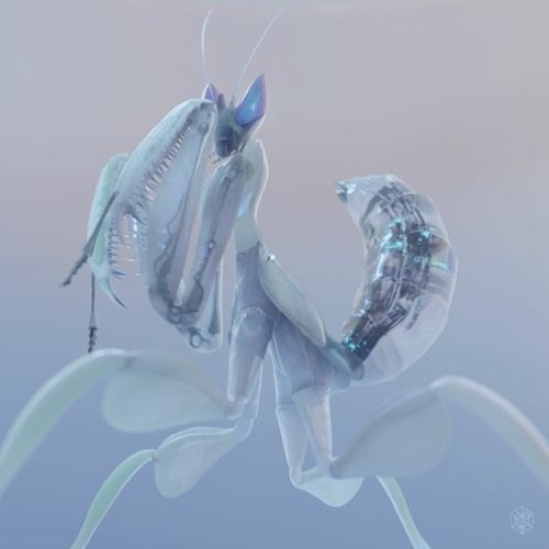 Blinders - Prayer [Ultra Miami 2023 LIVE]