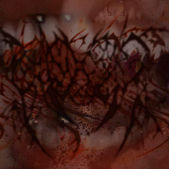 girl teeth.wav [DEMO]