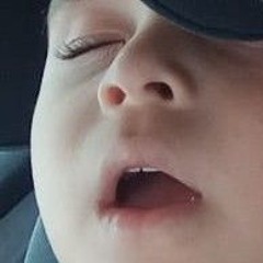 Cheese is a cat blobby ekkkkk