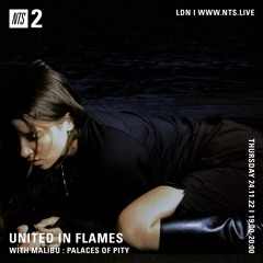 United In Flames w/ Malibu - Palaces of Pity - 24th November 2022