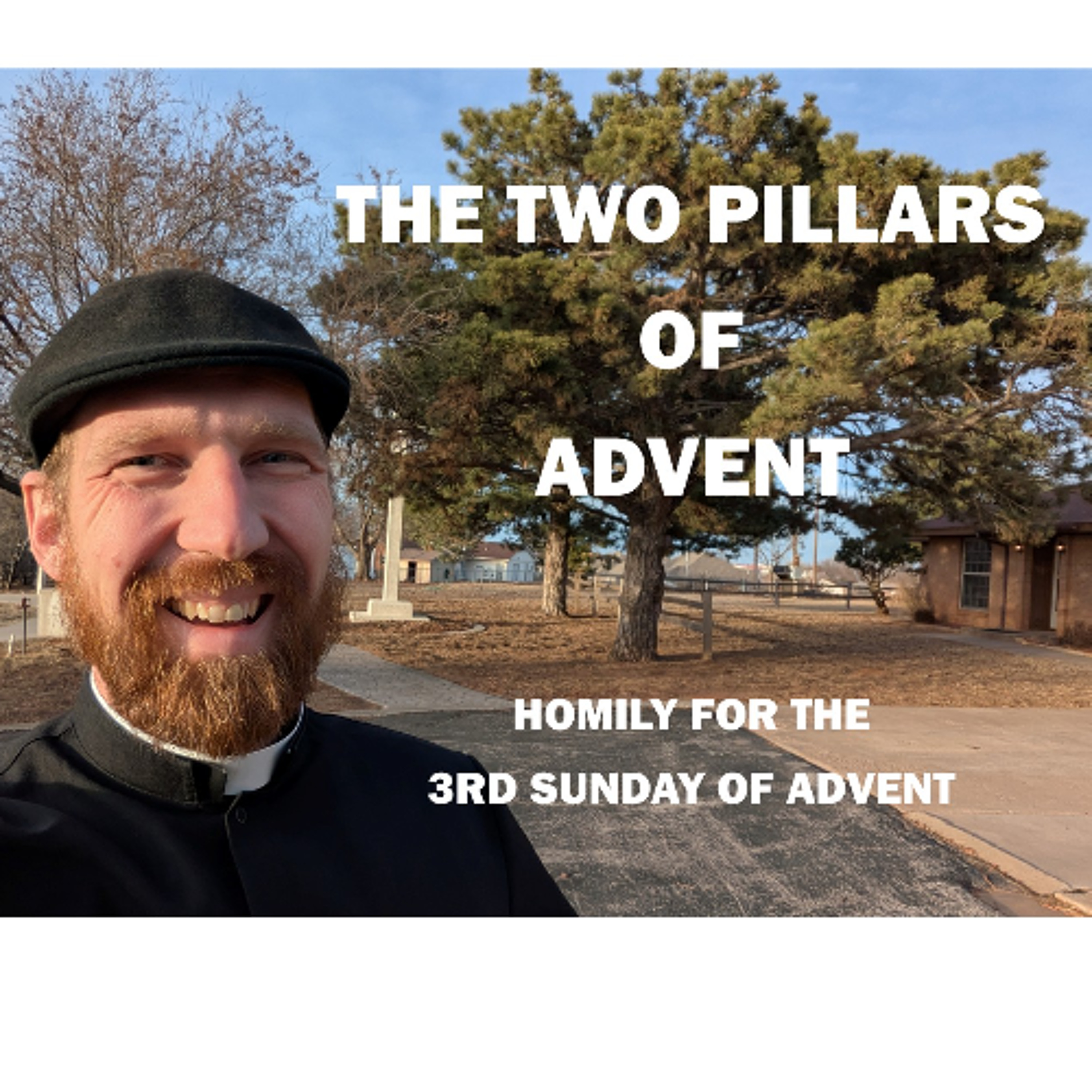 The Pillars of Advent - John the Baptist and Our Lady of Guadalupe episode artwork