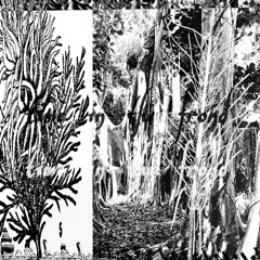 time in the frond (cxrter x mackk)