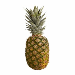 Pineapple_Core.Shit
