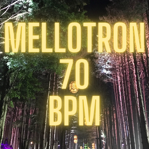 [MELLOTRON] Jay Electronica | Experimental Hip Hop Instrumental | Texas Producer - 70 bpm