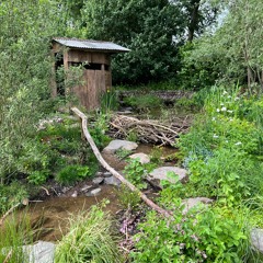 Rewilding Britain Landscape - A Soundscape by Sound Matters (Chelsea Flower Show)