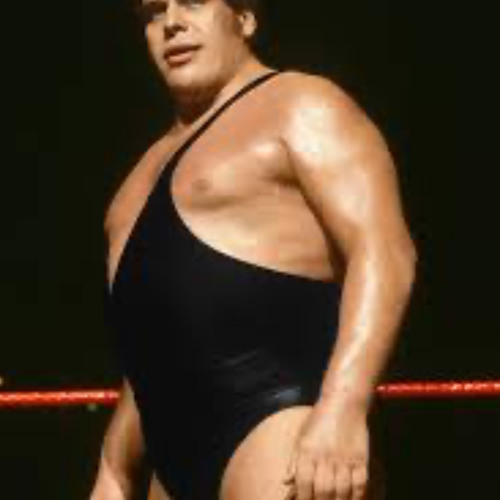 André the giant‼️