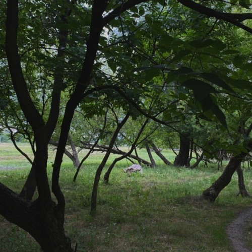 Успокойся, всё в порядке