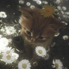 i miss my girlfriend