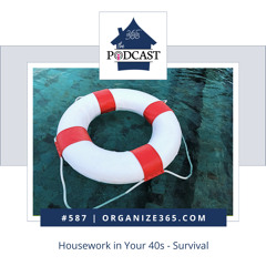 587 - Housework in Your 40s - Survival