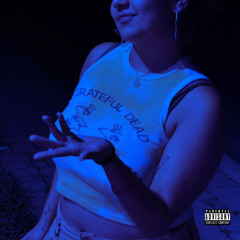 Perfect Freestyle x 5florez