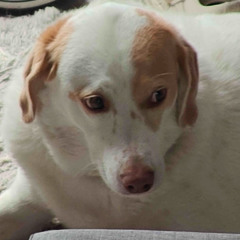 plap Explicit time🙂‍↕️