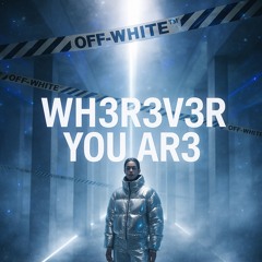 Martin Garrix & DubVision feat. Shaun Farrugia - Wherever You Are R3MIX