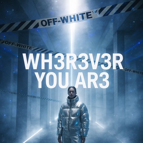 Martin Garrix & DubVision feat. Shaun Farrugia - Wherever You Are R3MIX