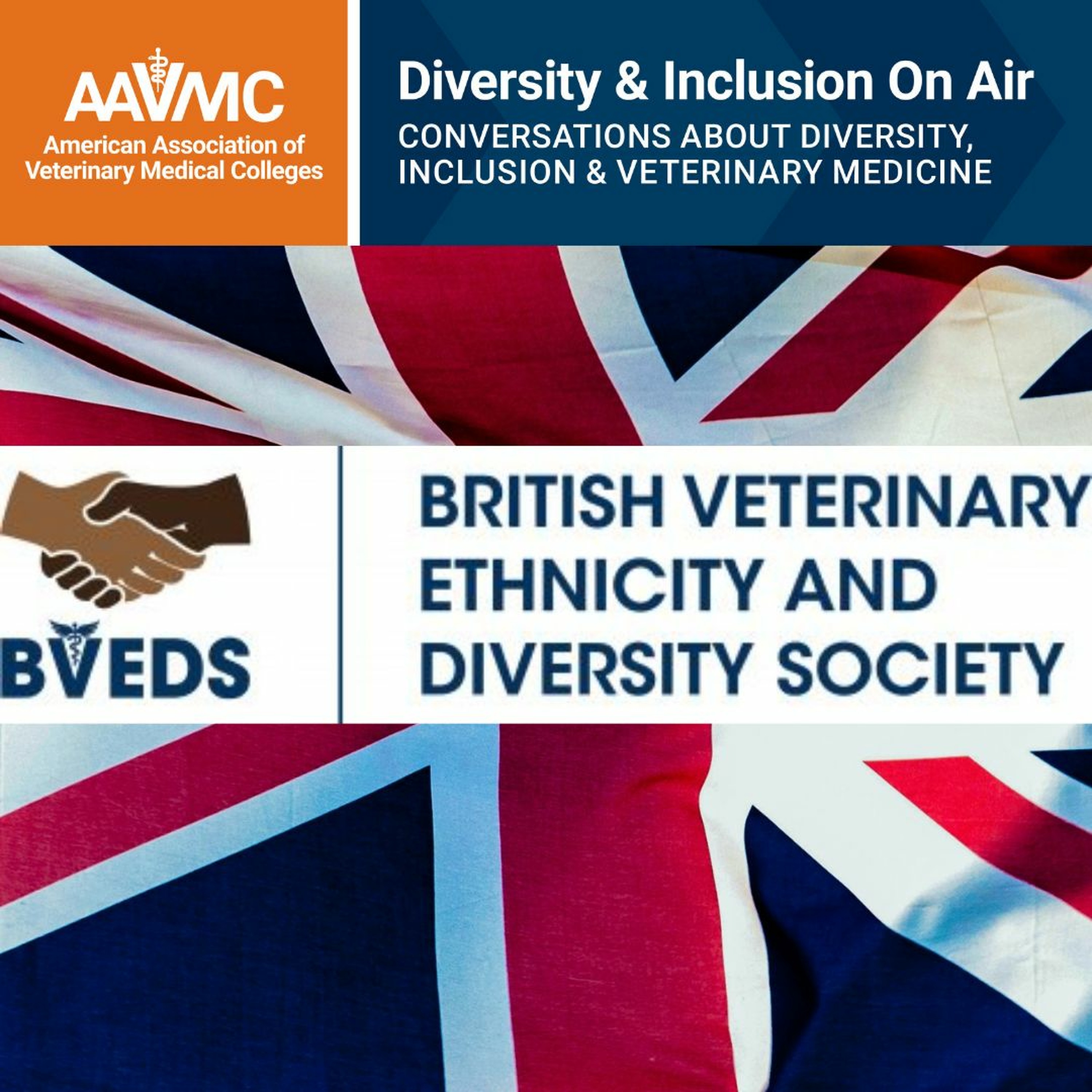 AAVMC\'s On Air: Conversations about Issues in Veterinary Medicine