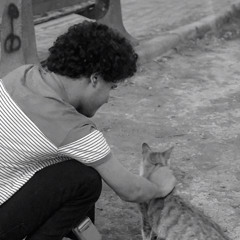 مزيج عشوائي ..