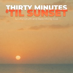 THIRTY MINUTES 'TIL SUNSET [Liquid Drum and Bass Mix]