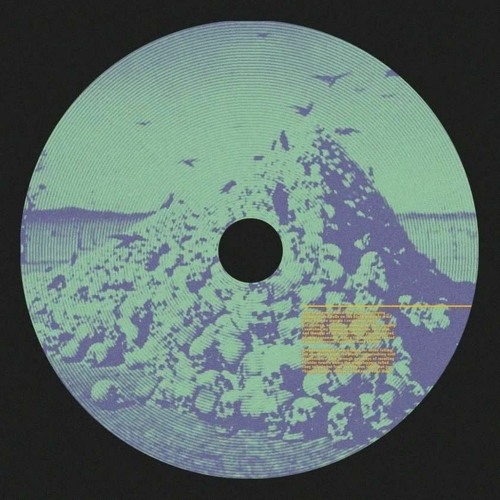 Crack & Style 100% vinyl - [ Mental and Acid ]