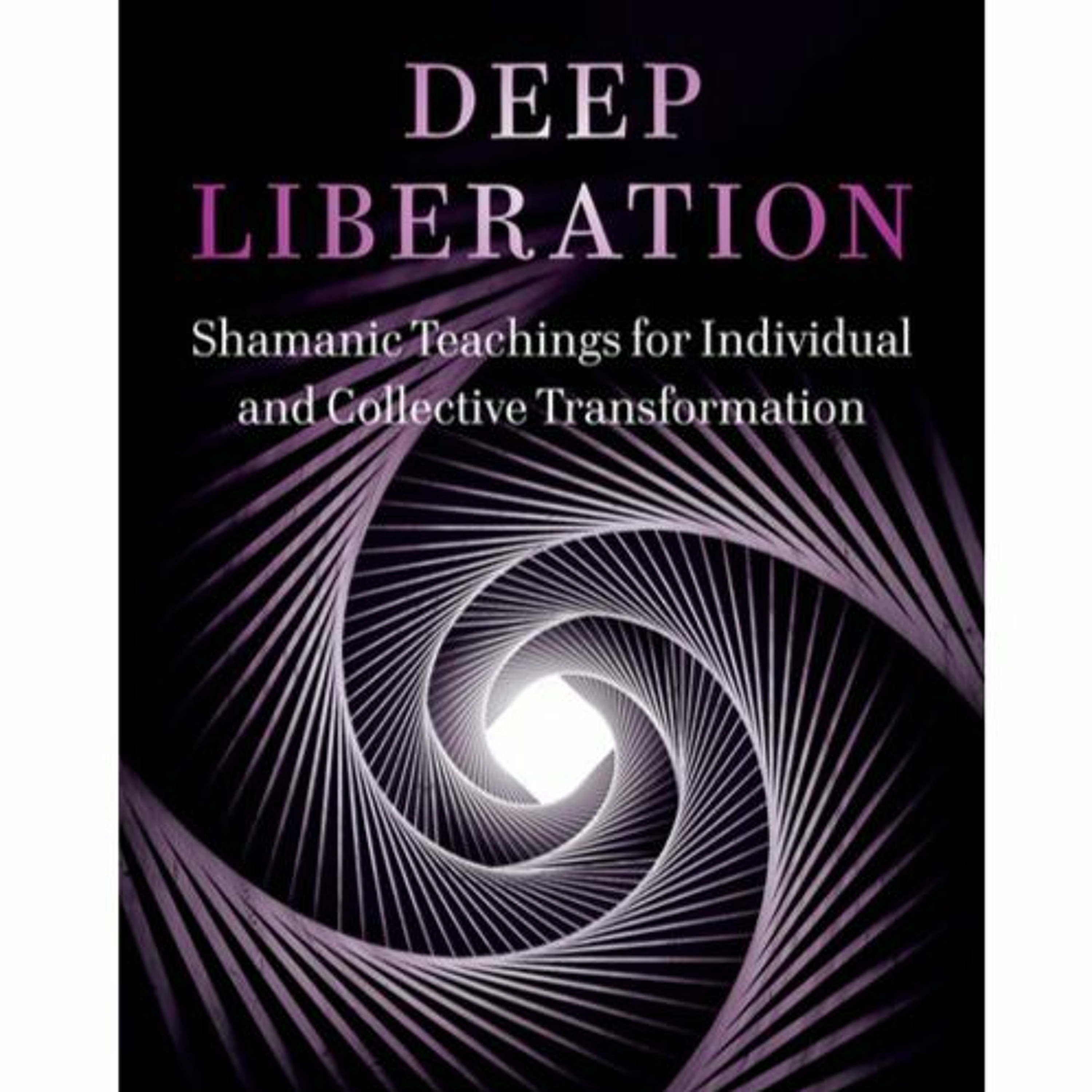 The Magical Mystery Tour Jan 1 2021 Deep Liberation Shamanic Teachings for Wholeness w Langston Kahn episode artwork
