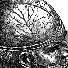 Inside Mind Of Dreams