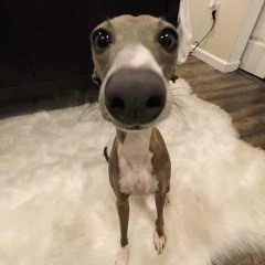 💋