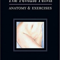 Download [PDF] The Female Pelvis Anatomy & Exercises