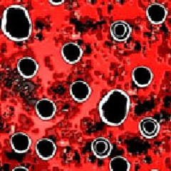 a FALLEN angel's thesis