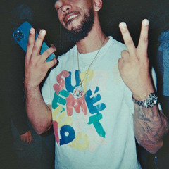 ZED - PIRATE DIARIES VOL 1