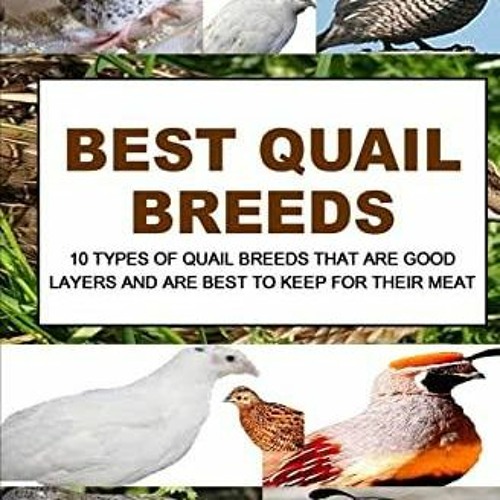 Stream episode get [PDF] Download Best Quail Breeds: 10 Types Of Quail