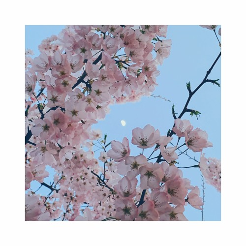 reminds me of you