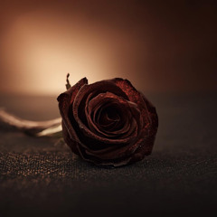 Something I Never Said