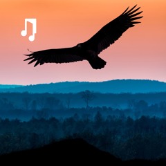 Flying High